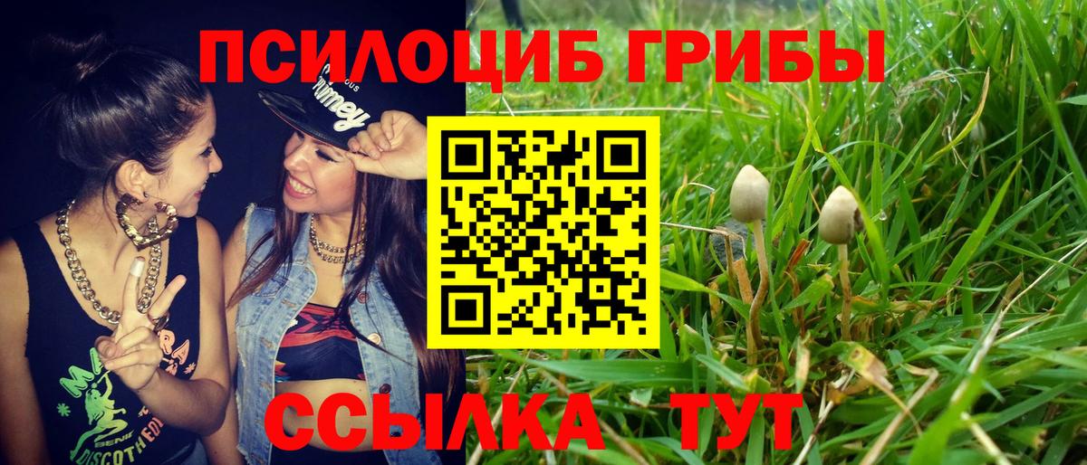 Краснокамск  что такое   Вход с VPN  Галлюциногенные грибы ЛСД  Галлюциногенные грибы прущие грибы 